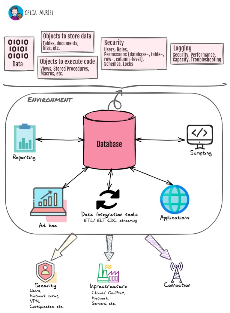 Planning A Database Migration | Celia Muriel